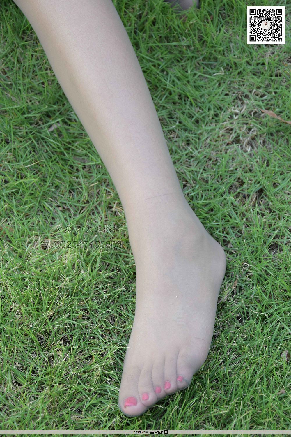 [ģ] No.030 ԲԲ-ݵС [60P243]