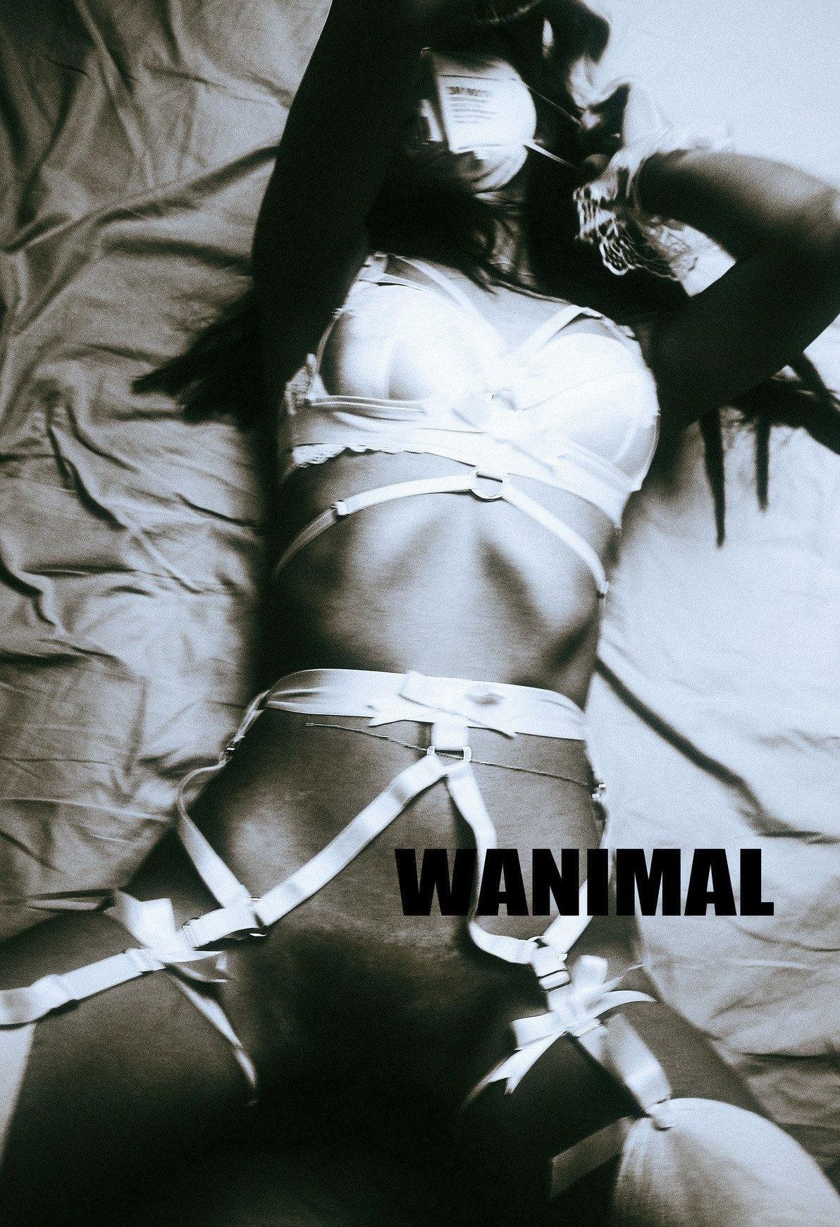 VOL.103  Tumblrд ռ  ģ Ʒģ ]WANIMAL 7ҳ