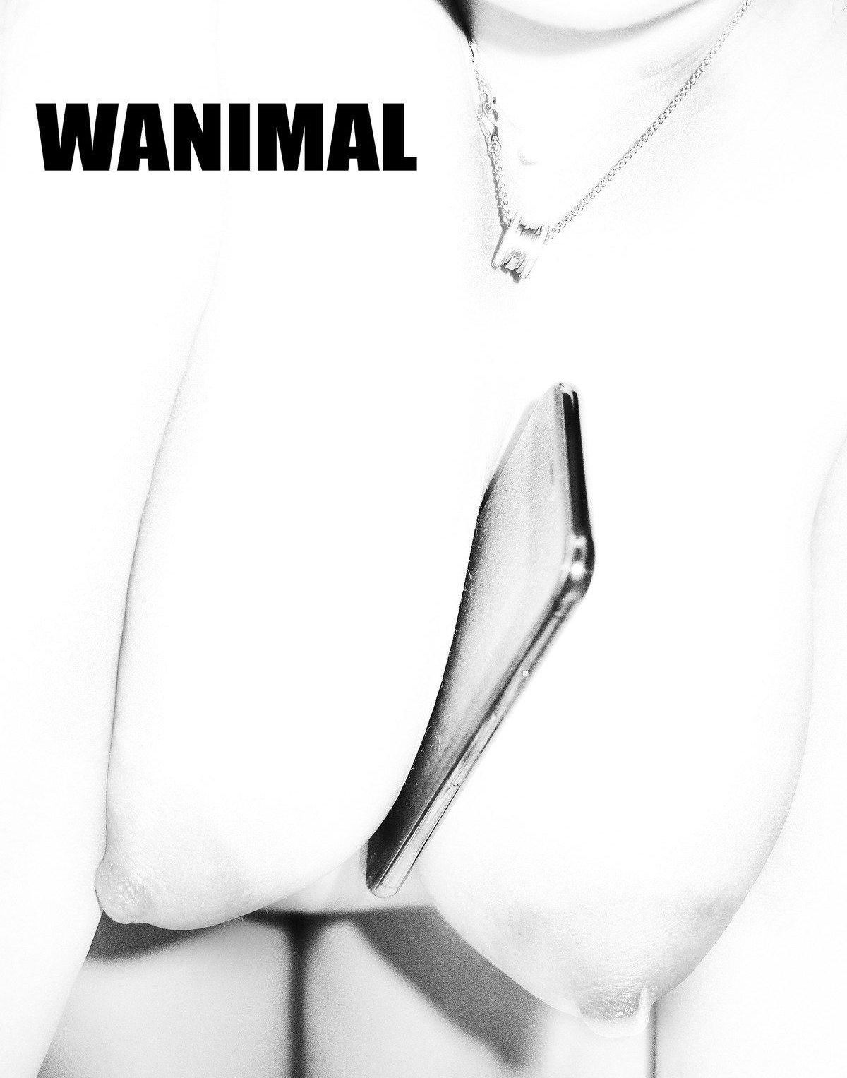 Ʒģ Tumblrд ]WANIMAL ģ ռ  VOL.105 4ҳ