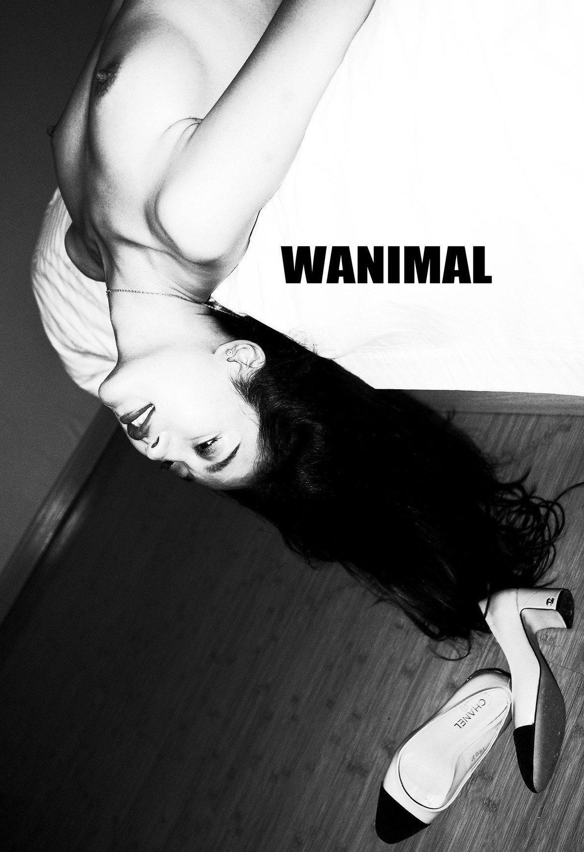 Ʒģ Tumblrд ]WANIMAL ģ ռ  VOL.105 4ҳ