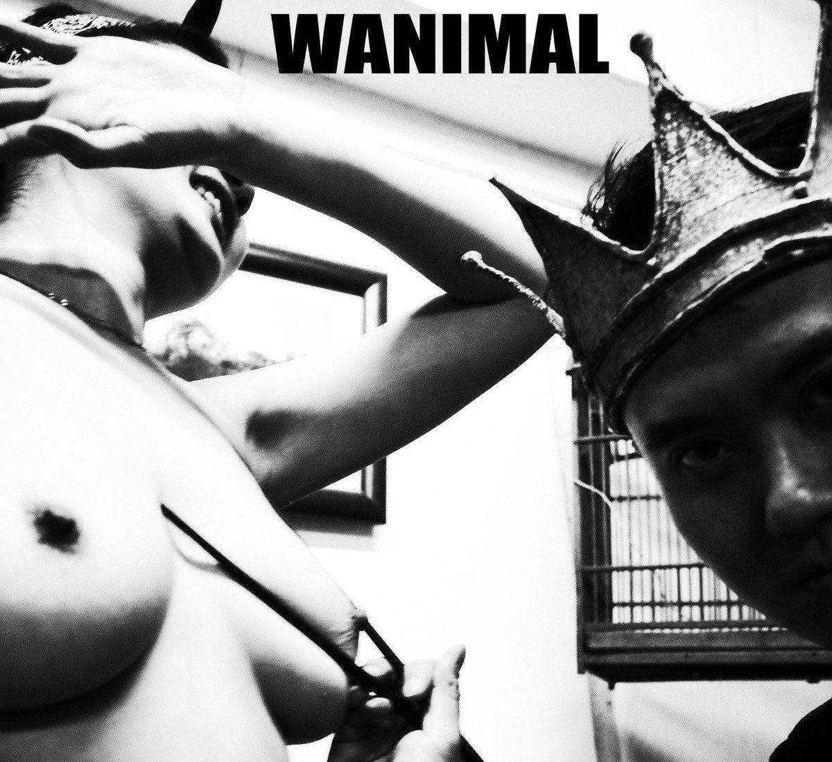 VOL.105   Ʒģ ģ ]WANIMAL ռ Tumblrд 1ҳ