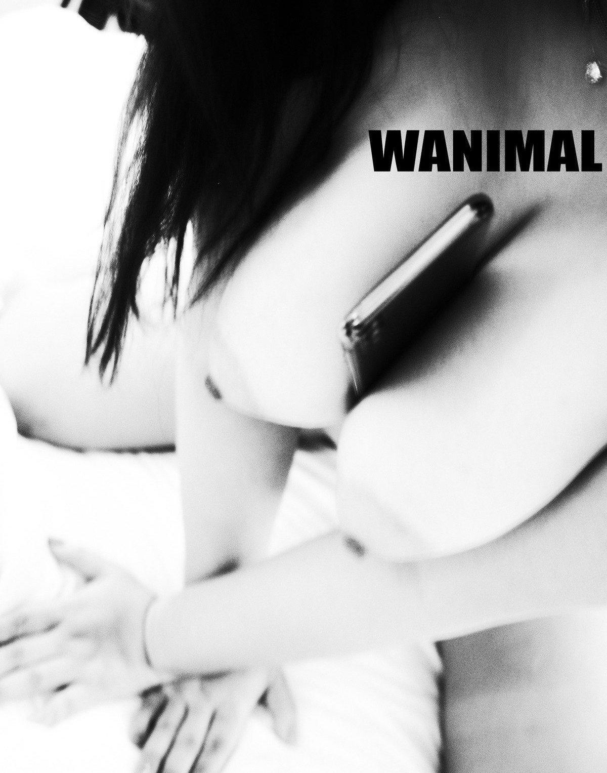 ģ Tumblrд ռ  Ʒģ ]WANIMAL VOL.105 8ҳ