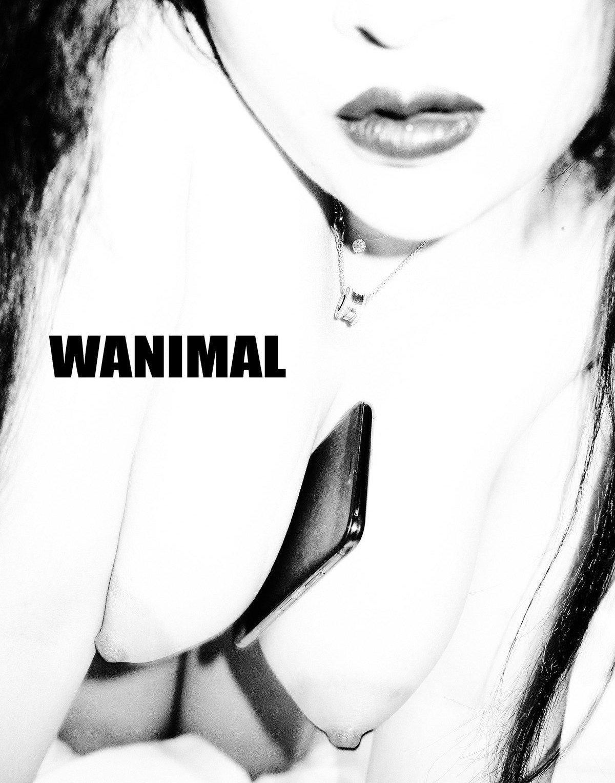 ģ Tumblrд ռ  Ʒģ ]WANIMAL VOL.105 8ҳ