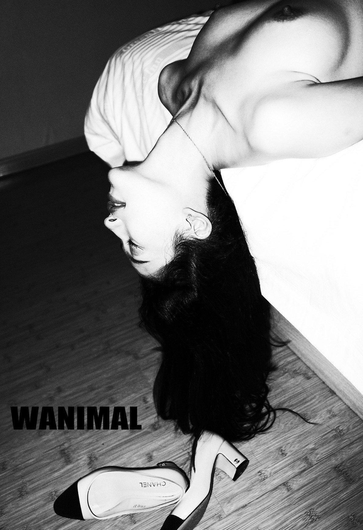 ģ Tumblrд ռ  Ʒģ ]WANIMAL VOL.105 8ҳ