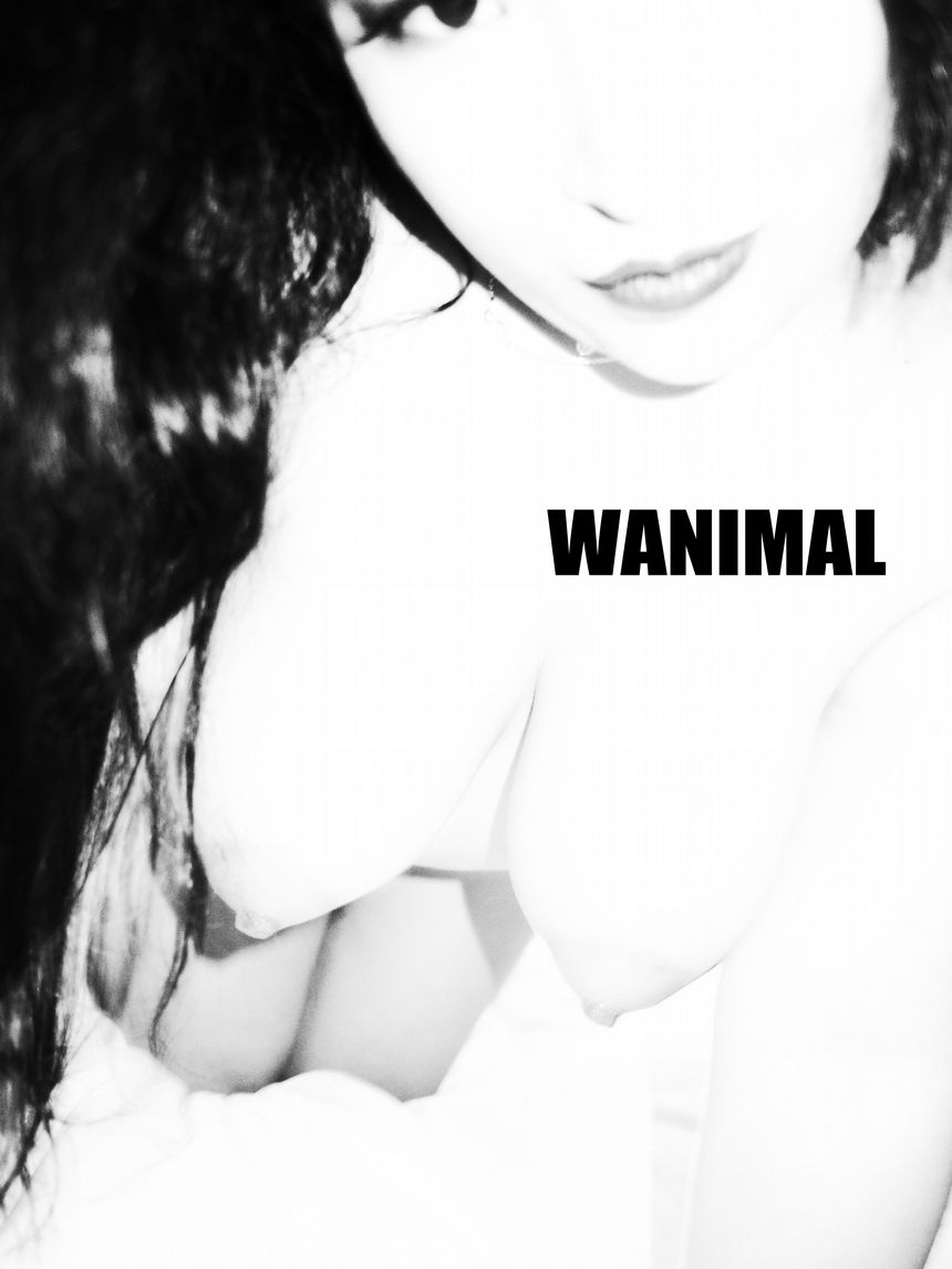 () 183VIP [75P] ʥ WANIMALٷƷ ͼ 3ҳ