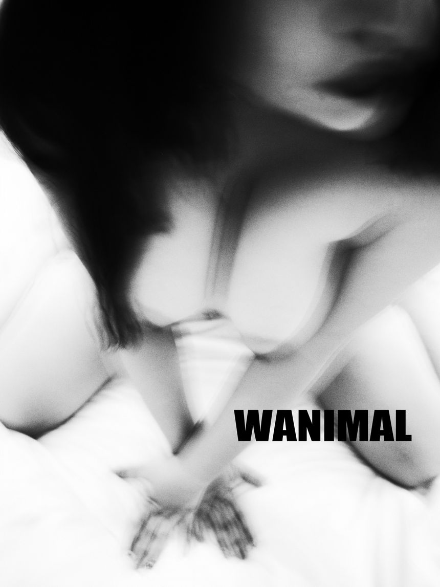 () 183VIP [75P] ʥ WANIMALٷƷ ͼ 3ҳ