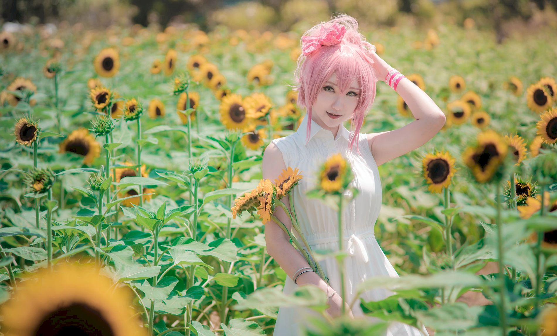 @STER [Cosplay] Mika THE ͼ HIKO ģcoserд  Jougasaki iDOLM 8ҳ