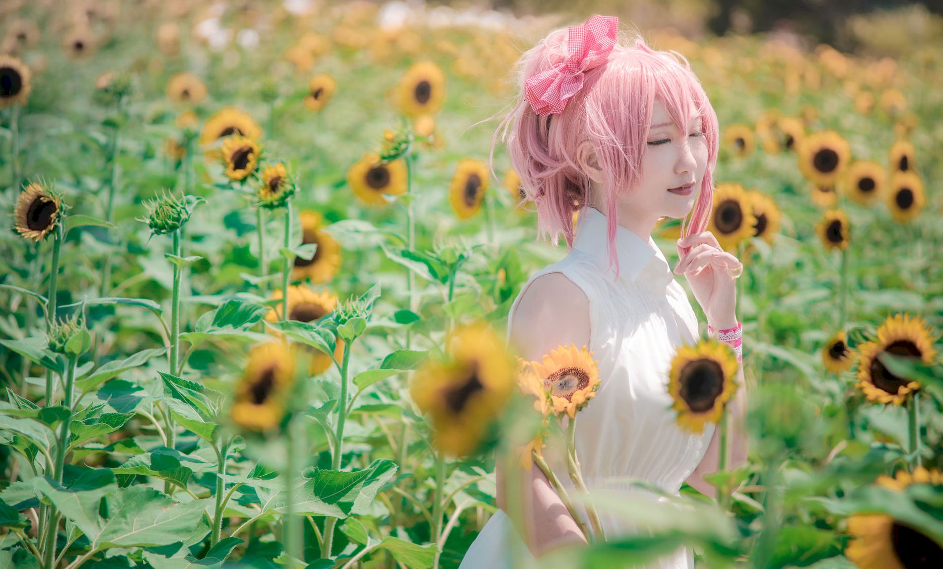 @STER [Cosplay] Mika THE ͼ HIKO ģcoserд  Jougasaki iDOLM 8ҳ