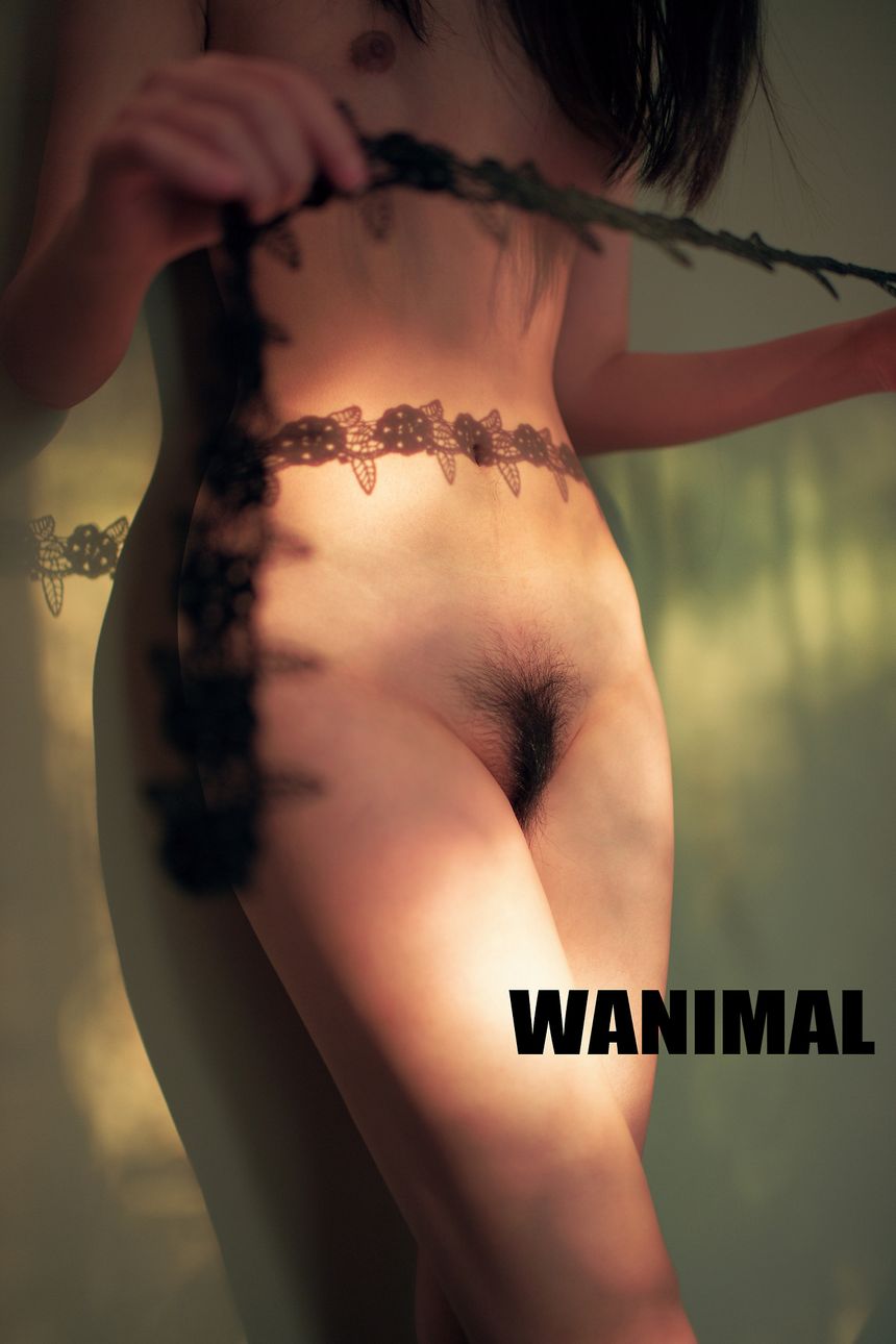 ͼ WANIMALƷ (ʮ) [112P] ʥ 1ҳ