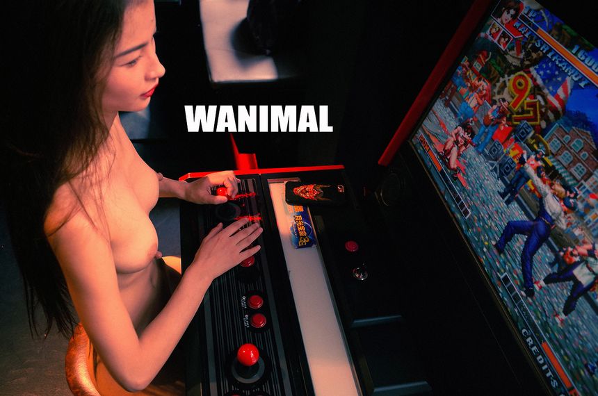 ʥ ͼ WANIMALƷ [134P] (ʮ) 1ҳ