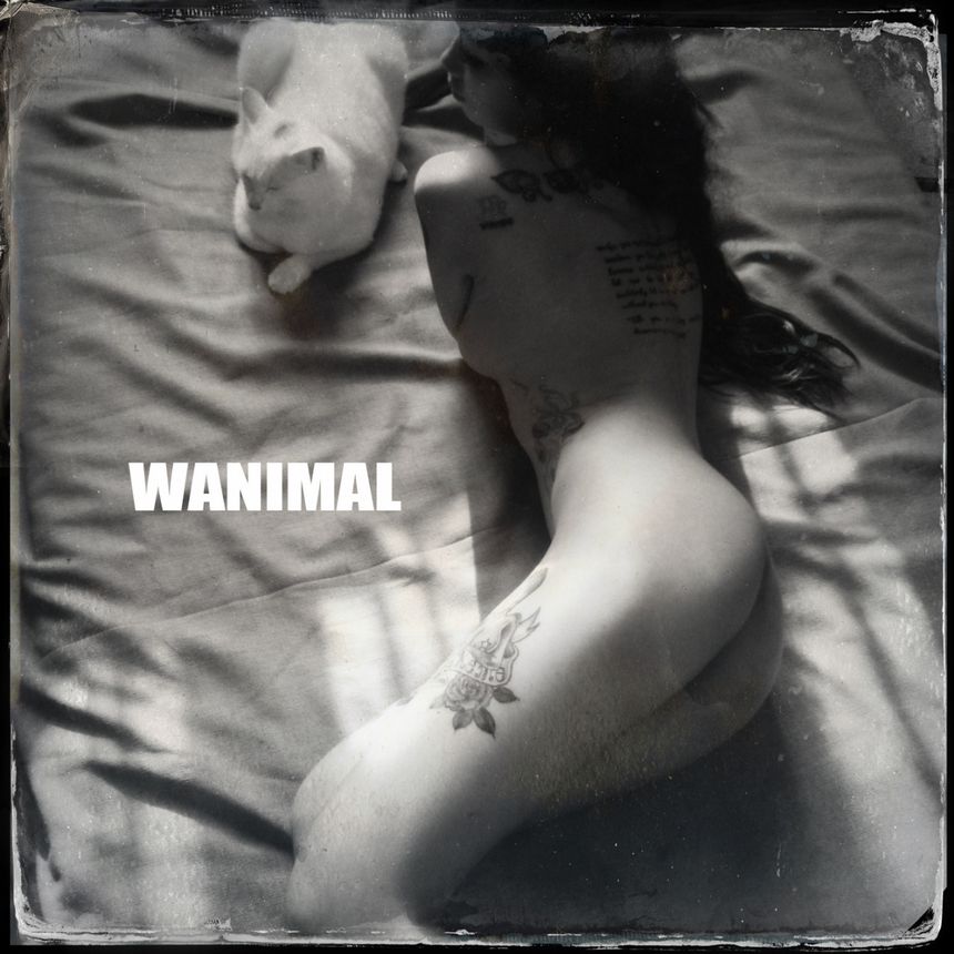 ʥ WANIMALƷ ͼ[125P] 1ҳ