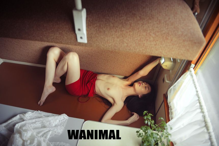 WANIMALٷƷ ͼ[124P] 10VIP ʥ 1ҳ